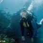 Mairi Underwater