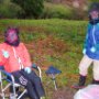 Midge Research Argyll