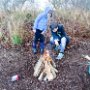 DSC01723-2.jpg