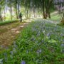DSC04555-Edit.jpg