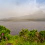 DSC04590.jpg