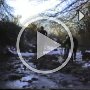 1992 Runner v Cyclist.mp4
